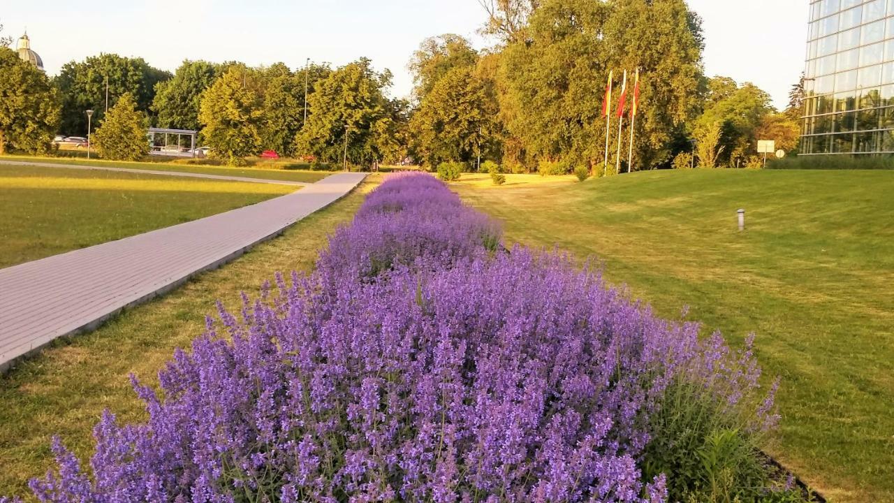 Wilanow Apartment Warsaw Ngoại thất bức ảnh